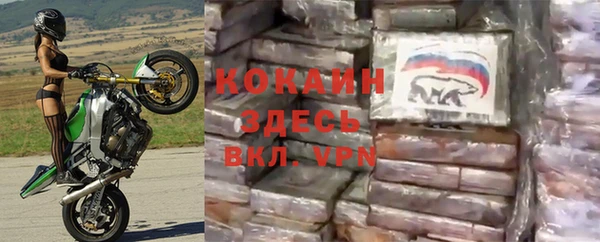 дмт Аркадак
