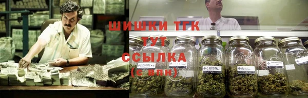 дмт Аркадак