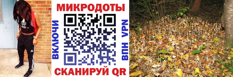 Галлюциногенные грибы ЛСД Орлов